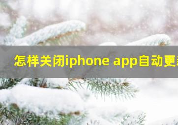 怎样关闭iphone app自动更新